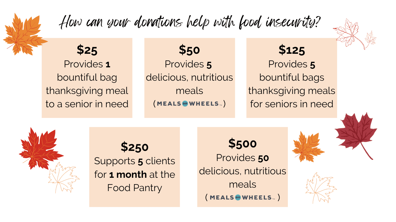 How can your donations help with food insecurity