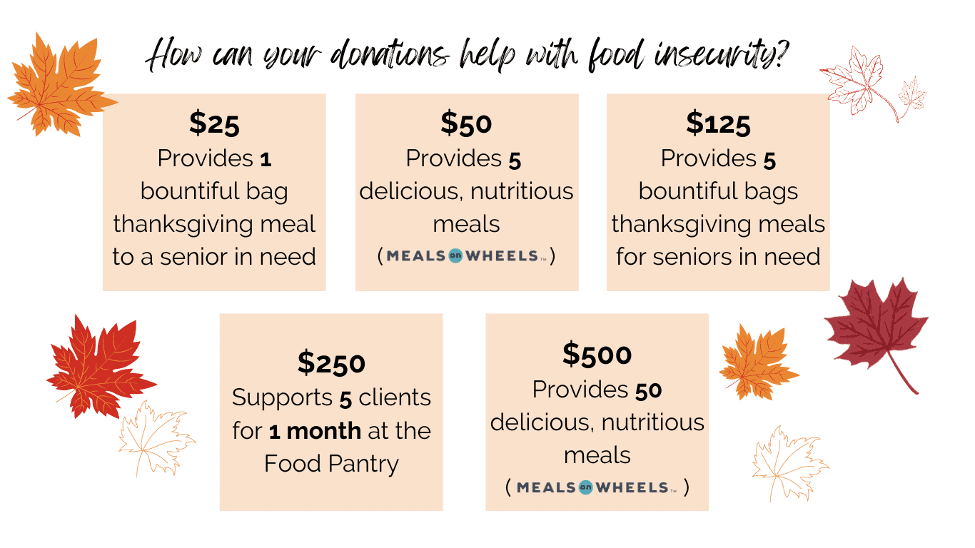 How can your donations help with food insecurity How can your donations help with food insecurity